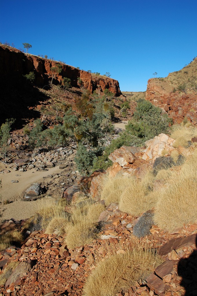 Ormiston Gorge